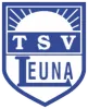 TSV Leuna 1919 II