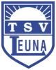 TSV Leuna 1919 AH 