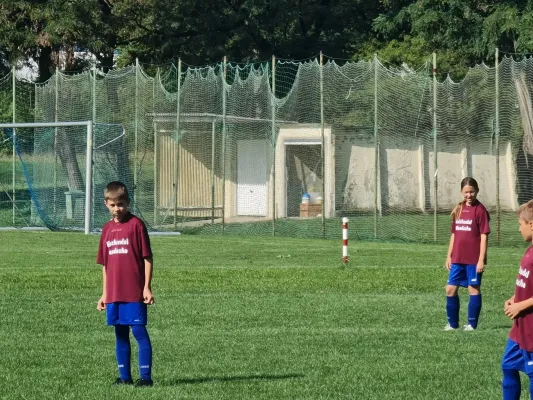 26.08.2023 TSV Leuna 1919 vs. SG Spergau