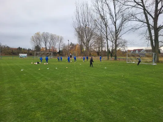08.11.2025 SV Meuschau vs. TSV Leuna 1919 II